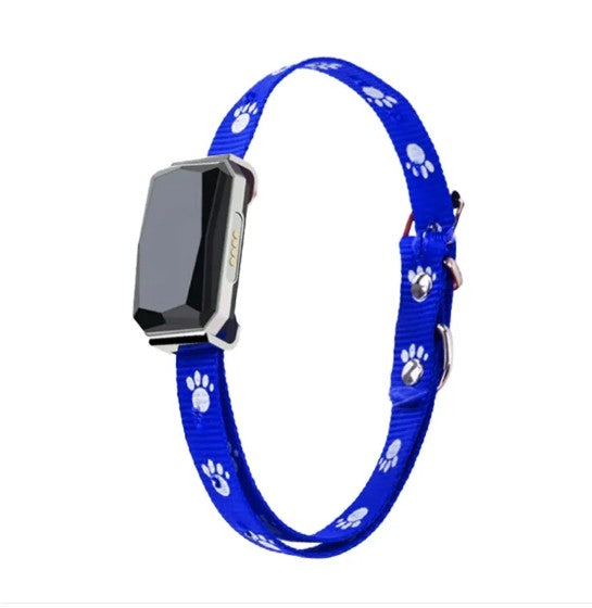 Blue dog collar with paw prints on a white background