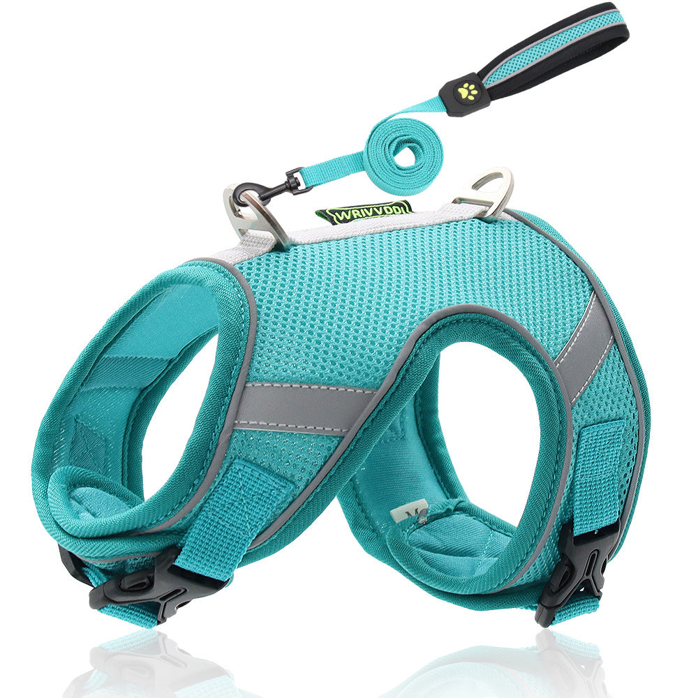 Turquoise dog harness with gray accents and a matching leash on a white background