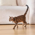 Cat Laser Collar Toy - Hands-Free Interactive Play & Exercise for Indoor Cats