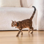 Cat Laser Collar Toy - Hands-Free Interactive Play & Exercise for Indoor Cats