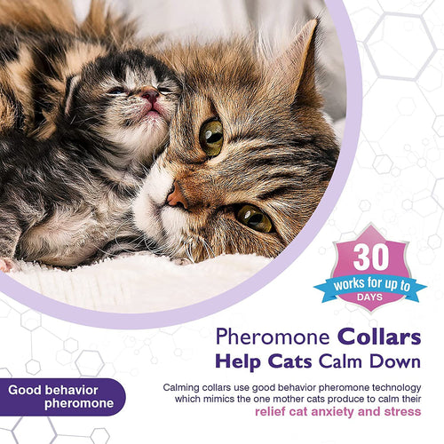 Cat Calming Collar - Hypoallergenic Anxiety Relief Comfort Collar for Cats