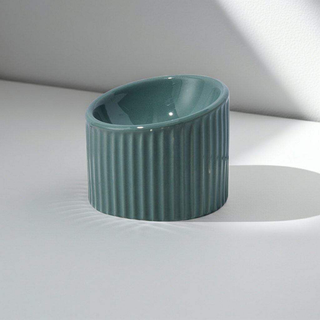 Elevated Ceramic Cat Bowls - Tilted Ergonomic Design for Indoor Cats
