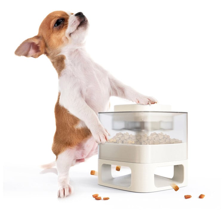 Small dog interacting with a transparent pet food dispenser on a white background