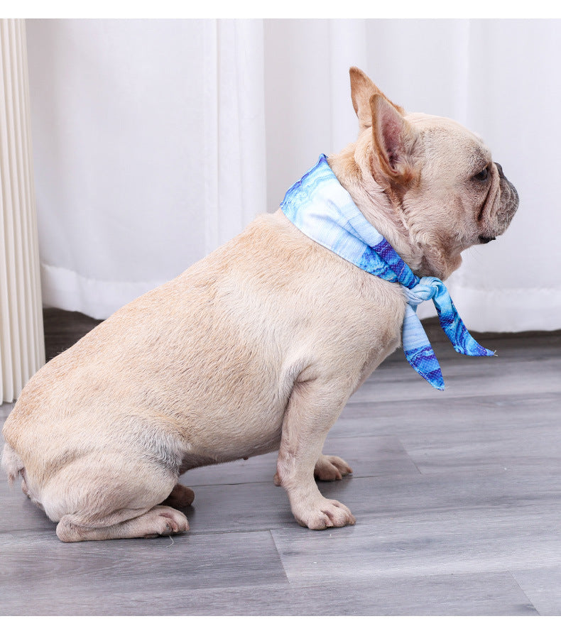 dog earing a blue scarf