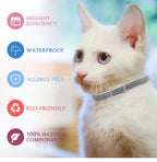 White cat wearing a collar with features listed on the left
