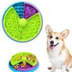 Colorful dog puzzle toy with a dog sitting next to it on a white background
