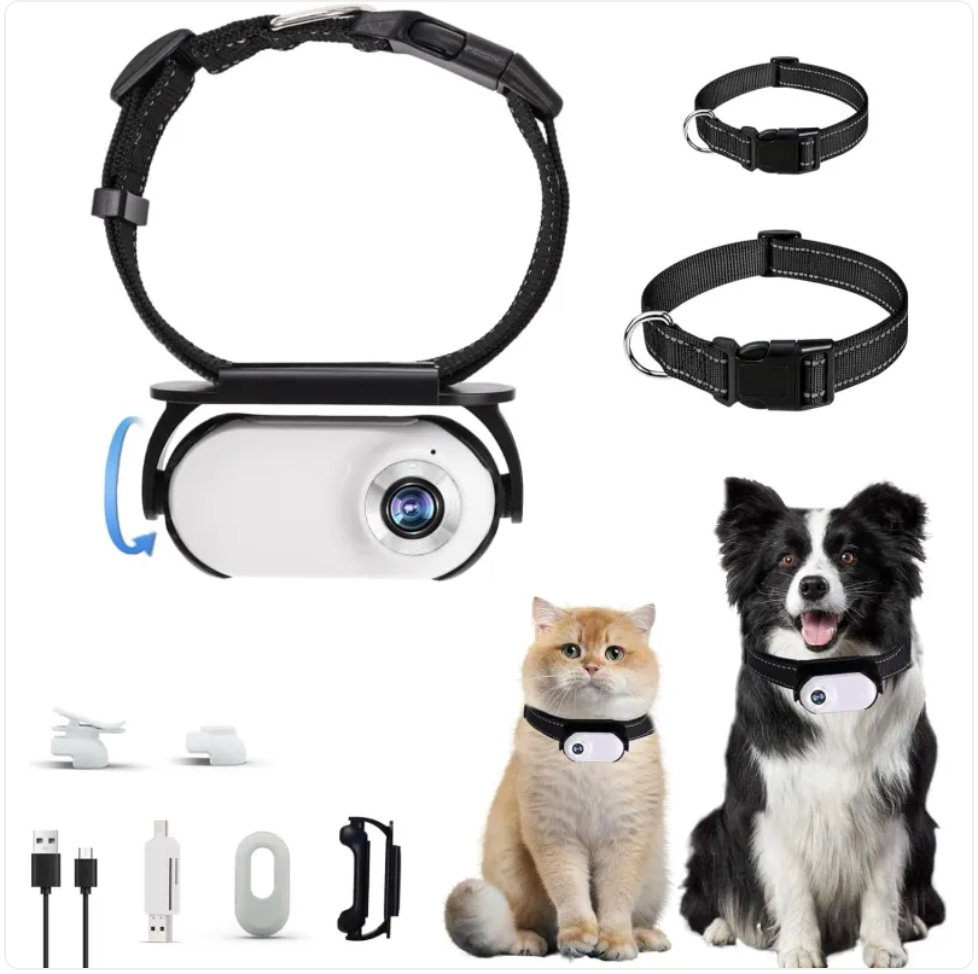 Collection of pet accessories including a collar, leash, and grooming tools on a white background.