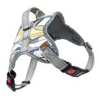 Reflective Dog Harness and Leash Set – Adjustable Polyester Pet Harness
