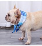 dog wearing a blue pet cooling ice scarf