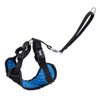 Black dog harness with blue padding and a leash on a white background