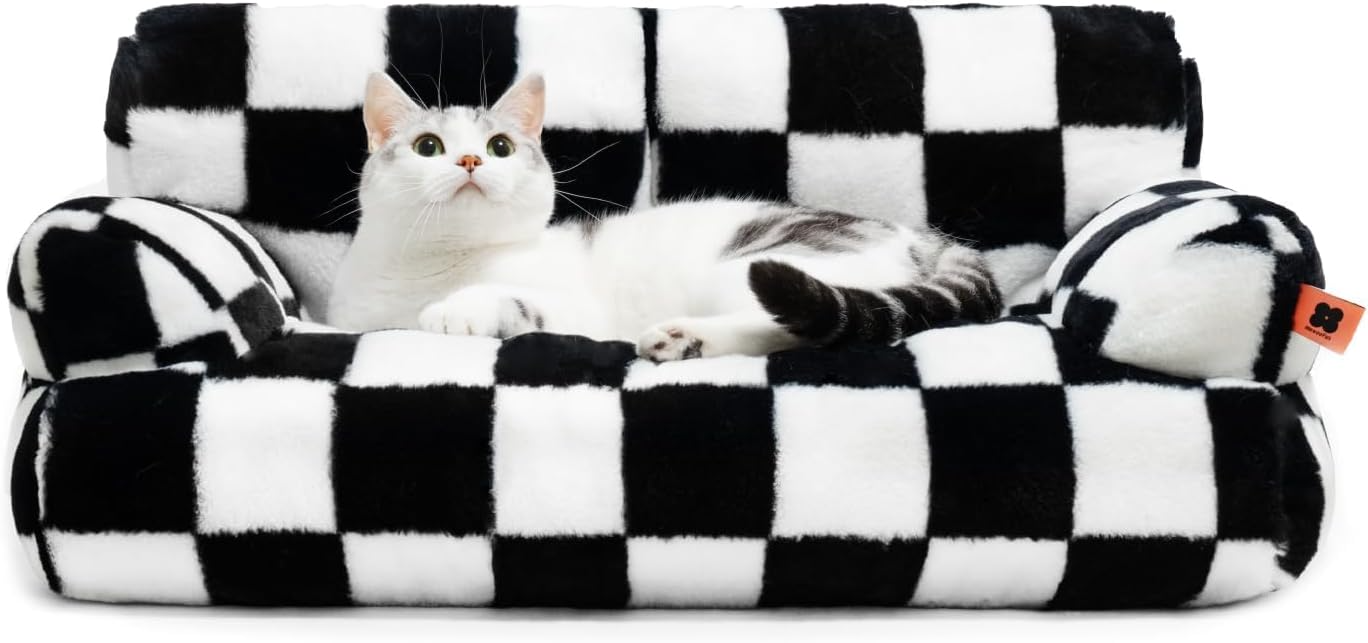 Cat sitting on a black and white checkered pet bed