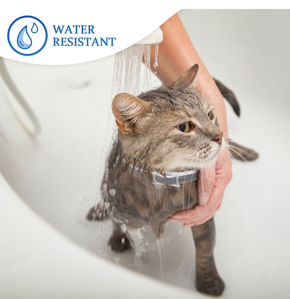 Cat being bathed with water resistant label above