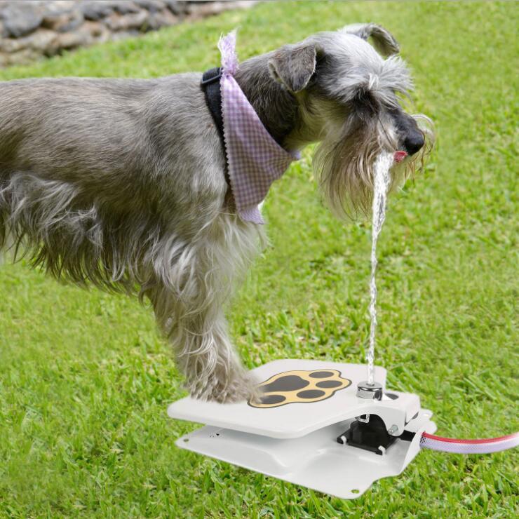 Dog drinking water from a paw-shaped fountain on grass