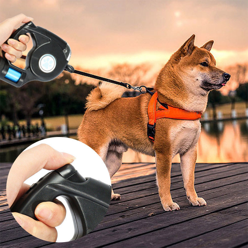 Dog on a leash with a retractable leash handle in a scenic outdoor setting