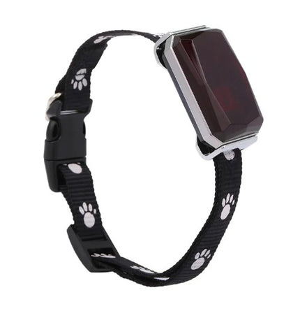Black dog collar with paw prints and a rectangular electronic device on a white background