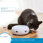 Cat playing with a toy on a wooden floor