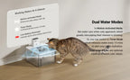Cat interacting with a pet water fountain on a wooden floor, with text explaining dual water modes.