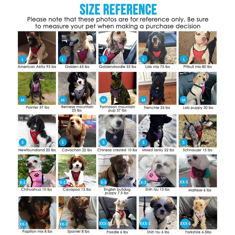 Size reference chart for dog harnesses showing various dogs of different breeds and sizes.
