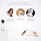 Cat toy with text highlighting its benefits for cat owners, including lack of energy and obesity onset.