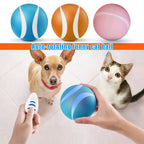Auto-rotating funny cat ball with a dog and cat on a white background