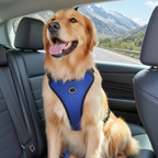 Massage Pet Car Seat Belt – Adjustable Safety Harness for Dogs & Cats