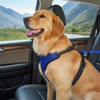 Massage Pet Car Seat Belt – Adjustable Safety Harness for Dogs & Cats