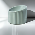 Elevated Ceramic Cat Bowls - Tilted Ergonomic Design for Indoor Cats