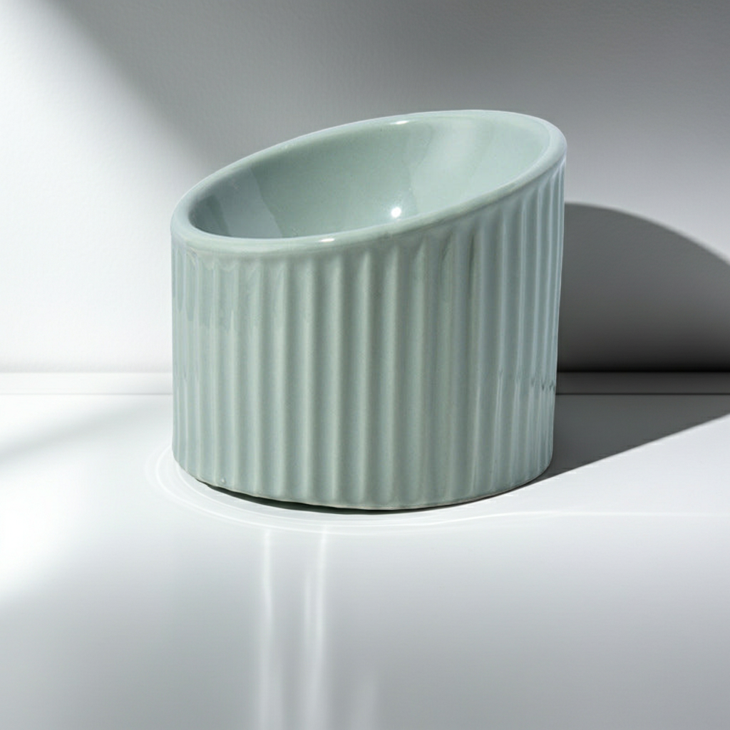 Elevated Ceramic Cat Bowls - Tilted Ergonomic Design for Indoor Cats