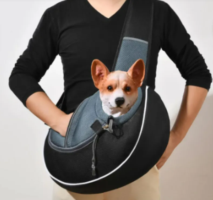 Person holding a small dog in a black and gray pet carrier against a plain background