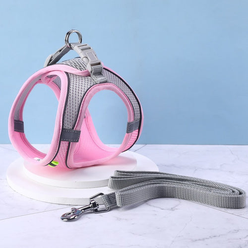 Pink and gray cat harness with a matching leash on a light blue background