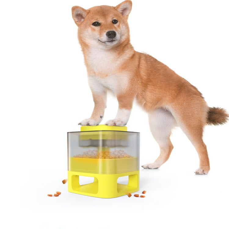 Dog standing on a yellow and transparent pet toy with food inside, on a white background
