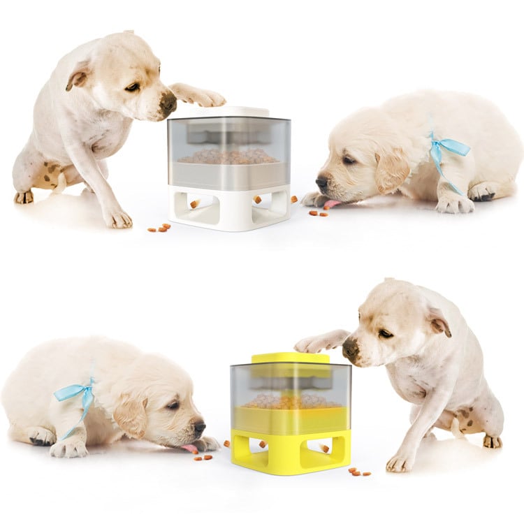 Puppies interacting with a transparent pet feeder on a white background