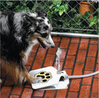 Dog drinking water from a paw-shaped fountain on a brick patio.