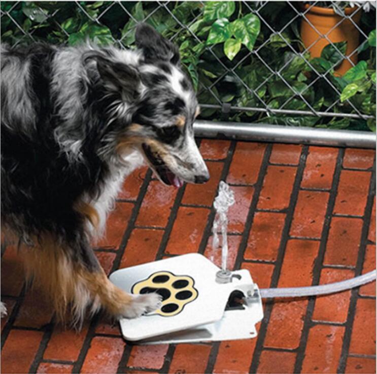 Dog drinking water from a paw-shaped fountain on a brick patio.