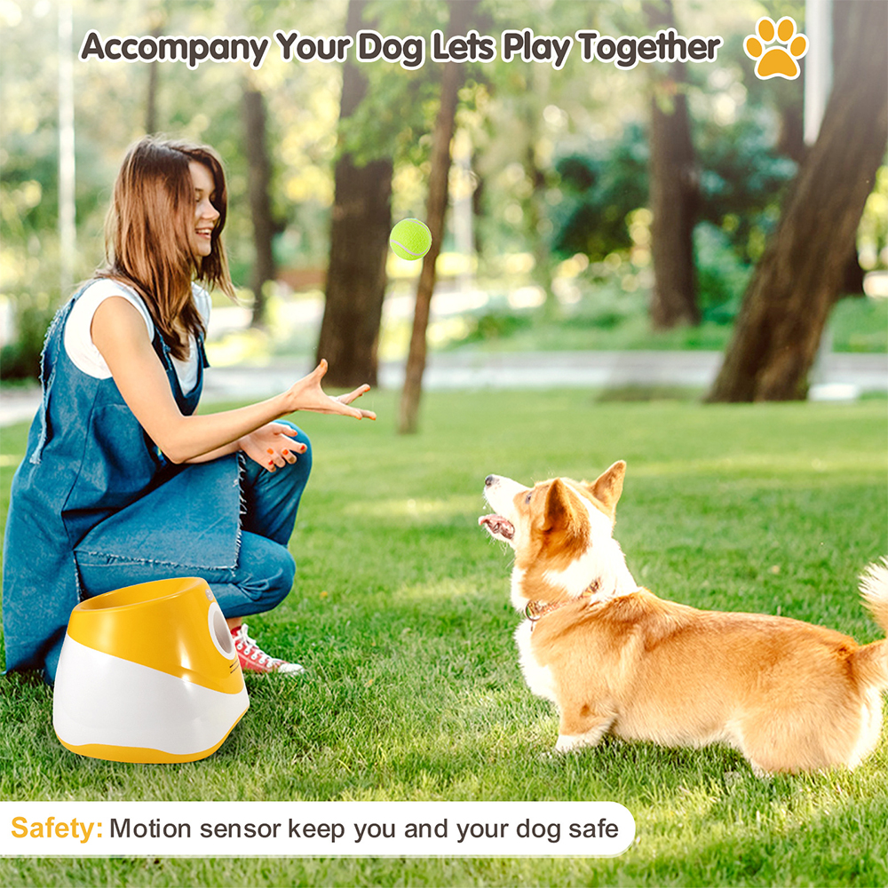 Woman playing with a dog in a park with a product labeled 'Accompany Your Dog Lets Play Together'.
