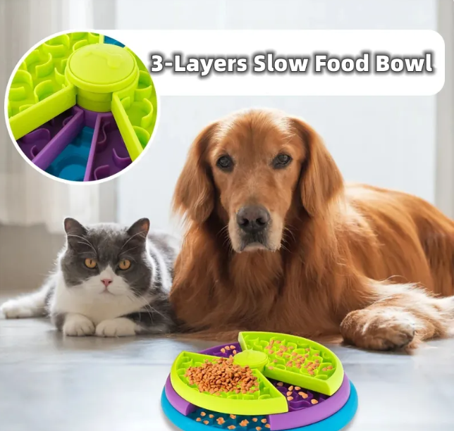 Dog and cat with a 3-layer slow food bowl on a light background