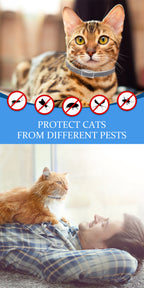 Two cats on a couch with a person lying down, accompanied by pest control icons and text.