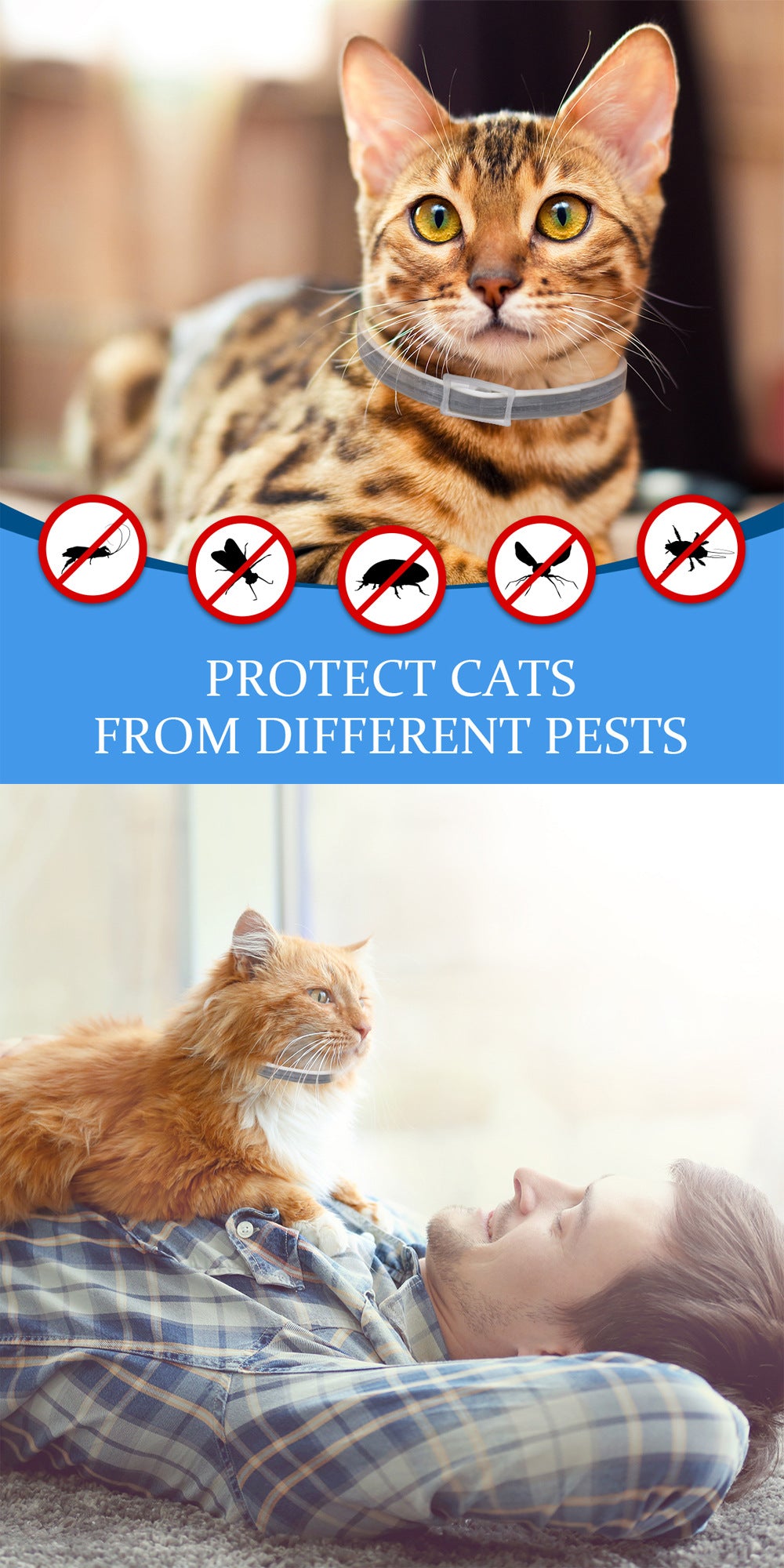 Two cats on a couch with a person lying down, accompanied by pest control icons and text.