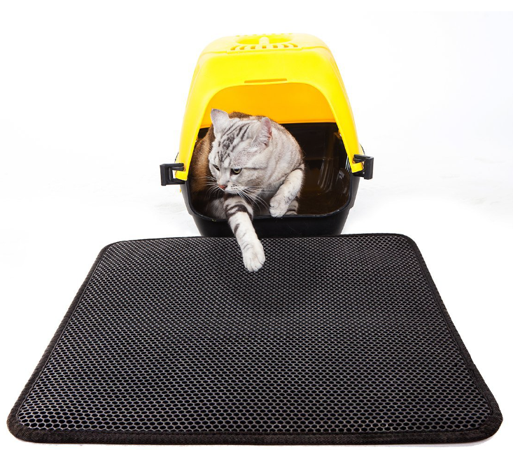 Cat in a yellow carrier with a black mat in front on a white background