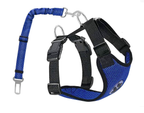 Blue and black dog harness with handle on a white background