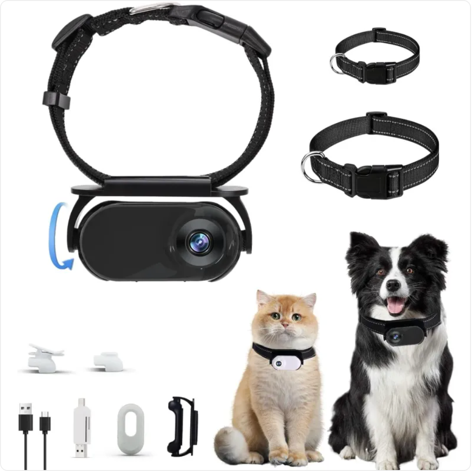 Pet collars with cameras and accessories on a white background