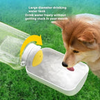 Potable pet water bottle