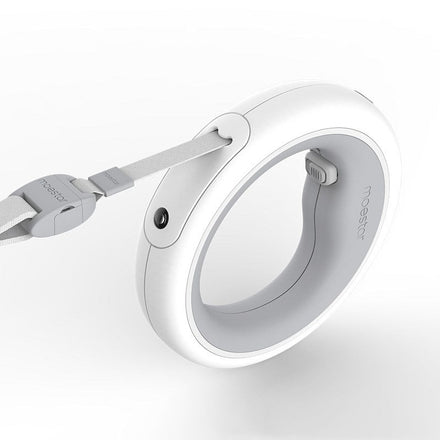 Silver dog collar with a leash attachment on a white background