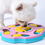 Dog interacting with a colorful puzzle toy on a white background