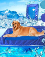 Dog lying on a blue pool float with icebergs and water splashes in the background