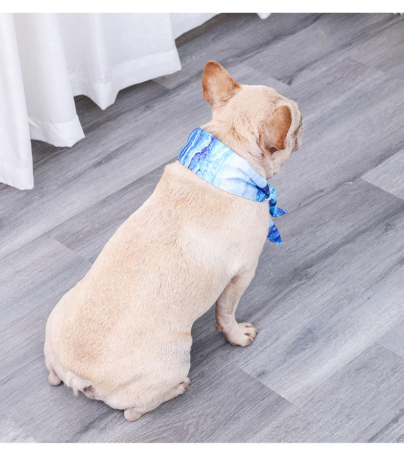 dog waring a scarf and sitting on a wooden floor