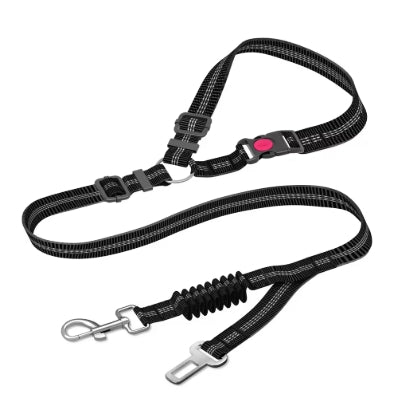 Black dog leash with carabiner and clip on a white background