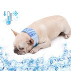 dog wearing a pet cooling scarf on a white background