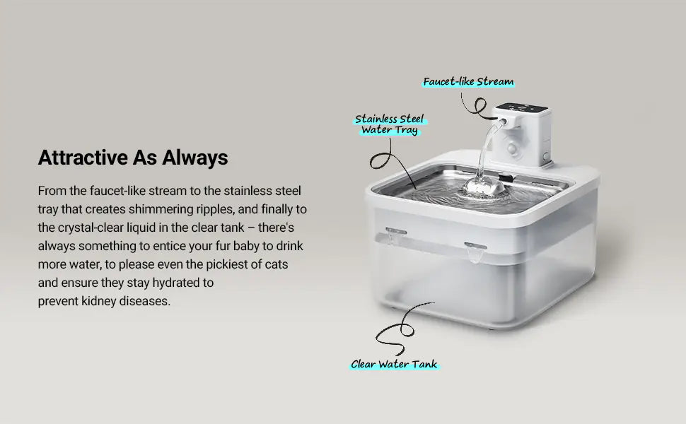 Pet water fountain with text describing its features on a gray background
