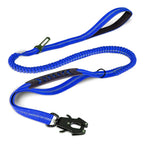Blue dog leash with a black metal clip on a white background